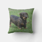 かわいいワイヤー髪のダックスフント クッション (裏面)