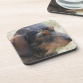 かわいいワイヤー髪のDashchund コースター (左側)