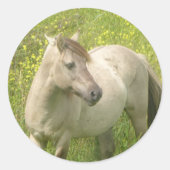 かわいいワイルドホース丸ステッカー ラウンドシール (正面)