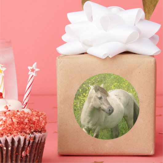 かわいいワイルドホース丸ステッカー ラウンドシール (パーティー)