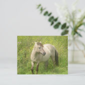 かわいいワイルドホースDIYはがき ポストカード (スタンド正面)