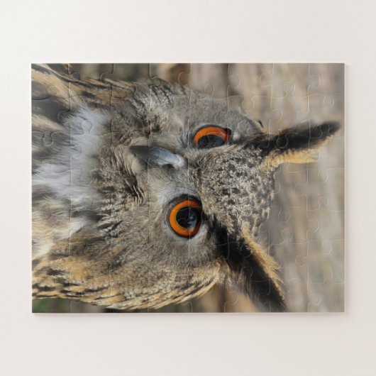 かわいいワシのフクロウ ジグソーパズル (横)