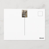 かわいいワシのフクロウ ポストカード (裏面)