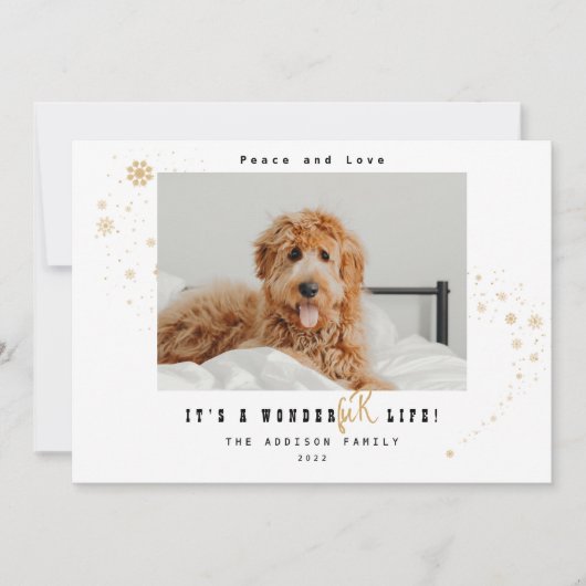 かわいいワンダーファーライフペットフォトクリスマス シーズンカード (正面)