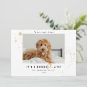 かわいいワンダーファーライフペットフォトクリスマス シーズンカード (スタンド正面)