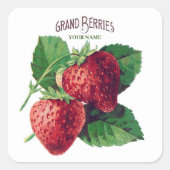 かわいいヴィンテージいちご果実あなたの名前を追加 スクエアシール (正面)