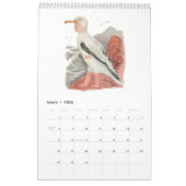 かわいいヴィンテージの水彩画のスケッチの鳥の子供5 カレンダー (3月 2026)