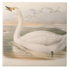 かわいいヴィンテージの白鳥 タイル