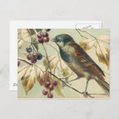 かわいいヴィンテージの鳥 ポストカード (正面/裏面)