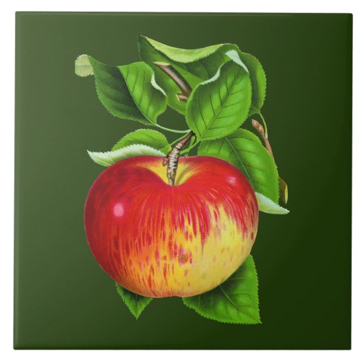 かわいいヴィンテージアップルキッチンデコール タイル (正面)