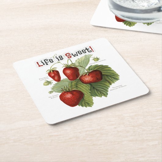 かわいいヴィンテージイチゴの品種の生活は甘い スクエアペーパーコースター (アングル)