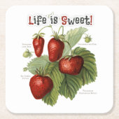 かわいいヴィンテージイチゴの品種の生活は甘い スクエアペーパーコースター (正面)
