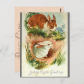 かわいいヴィンテージイースターバニーウサギ ポストカード (正面/裏面)