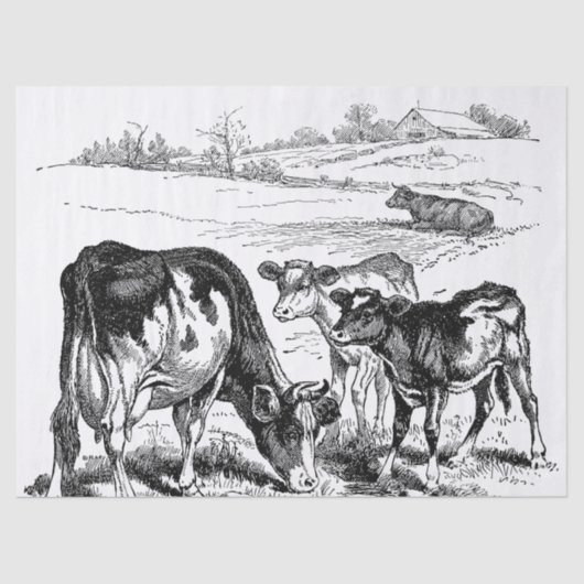 かわいいヴィンテージカントリー牛のパーティー組織 薄葉紙 (正面)