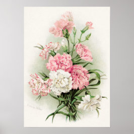 かわいいヴィンテージカーネーションのホームデコールポスター ポスター