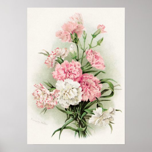 かわいいヴィンテージカーネーションのホームデコールポスター ポスター (正面)