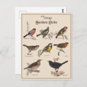 かわいいヴィンテージガーデンバード ポストカード (正面/裏面)