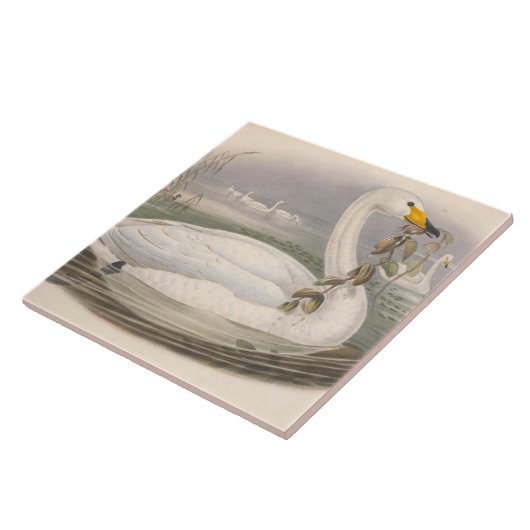 かわいいヴィンテージスワンデコ陶磁器タイル タイル (側面)