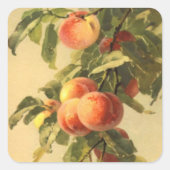 かわいいヴィンテージフルーツ桃ラバーズスクエアステッカー スクエアシール (正面)