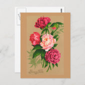 かわいいヴィンテージフローラピンクローズ ポストカード (正面/裏面)
