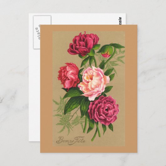 かわいいヴィンテージフローラピンクローズ ポストカード (正面/裏面)