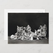 かわいいヴィンテージ子猫と糸 ポストカード (正面/裏面)