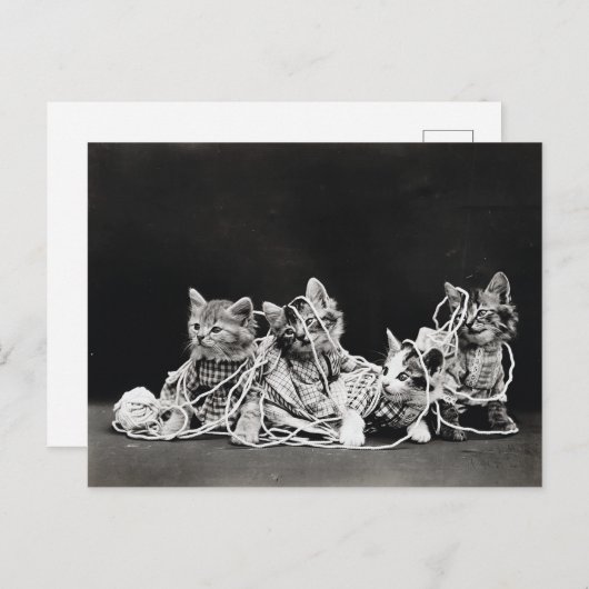 かわいいヴィンテージ子猫と糸 ポストカード (正面/裏面)