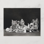 かわいいヴィンテージ子猫と糸 ポストカード (正面)