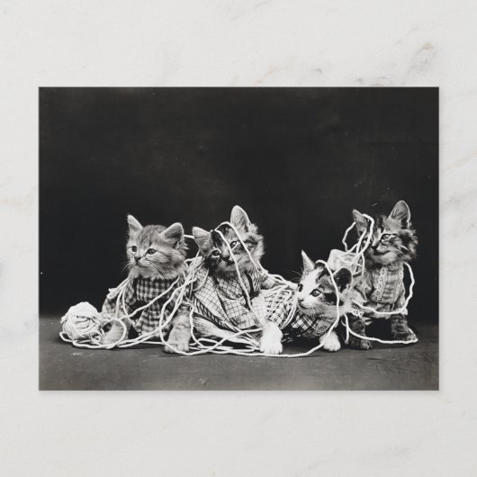 かわいいヴィンテージ子猫と糸 ポストカード (正面)