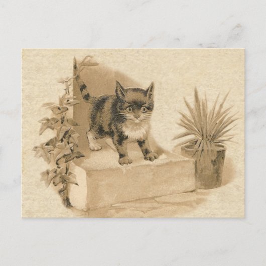 かわいいヴィンテージ猫スケッチアンティークフランスのカード ポストカード (正面)