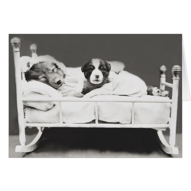 かわいいヴィンテージ眠る犬と子犬カード (正面横)