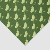 かわいい三本のさや  薄葉紙 (詳細)