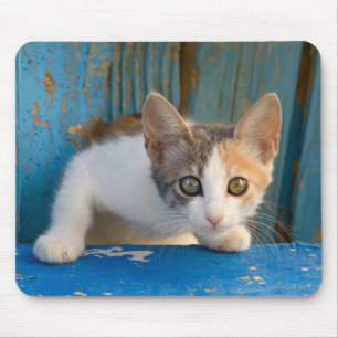 かわいい三毛猫が好奇心に満ちおもしろいた目で写真 マウスパッド