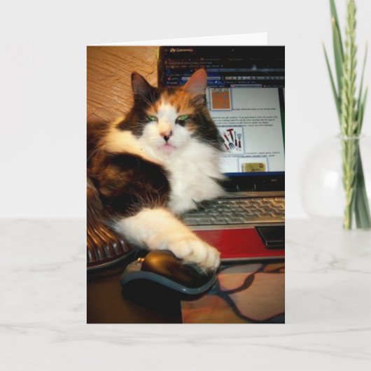 かわいい三毛猫グリーティングカード カード (正面)