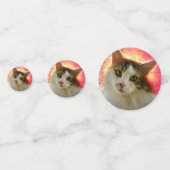 かわいい三毛猫 コンフェッティ (正面)