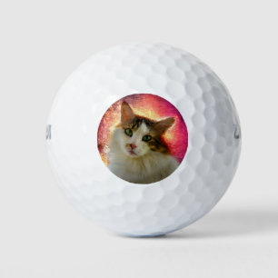 かわいい三毛猫 ゴルフボール