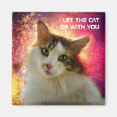 かわいい三毛猫 マグネット (正面)