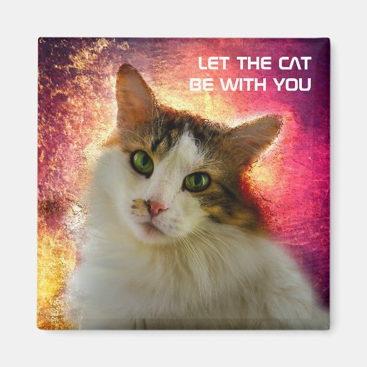 かわいい三毛猫 マグネット (正面)