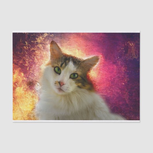 かわいい三毛猫 薄葉紙 (正面)