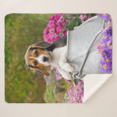 かわいい三色のビーグル犬の子犬のミルクのチュンでペット。 シェルパブランケット (正面(横))