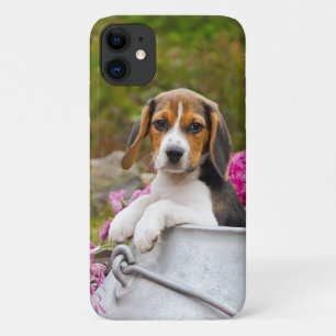 かわいい三色のビーグル犬の子犬の子犬ミルクの中でペット iPhone 11 ケース