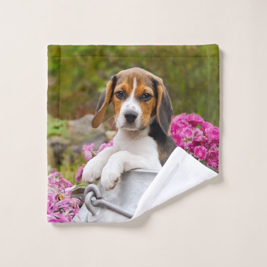 かわいい三色ビーグル犬の子犬がミルク缶でペットに バスタオルセット (ウォッシュタオル)