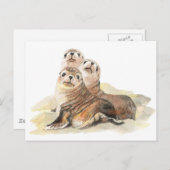 かわいい不思議なシール、水彩動物 ポストカード (正面/裏面)