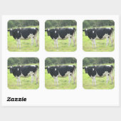 かわいい乳牛のアウトアットパスチュアファームステッカー スクエアシール (シート)