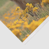 かわいい乳牛の黄色の野生の花のデコページ 薄葉紙 (詳細)