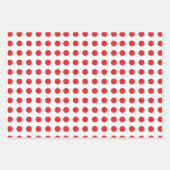 かわいい亀とラディバグのラッピング紙シート ラッピングペーパーシート (正面2)