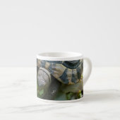 かわいい亀 エスプレッソカップ (正面右)