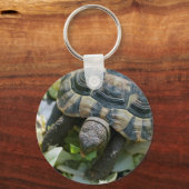 かわいい亀 キーホルダー (正面)