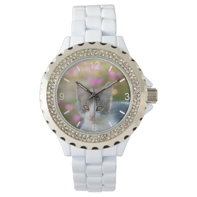 かわいい二色猫ふわふわな猫の写真 – ダイヤルプレート 腕時計 (正面)