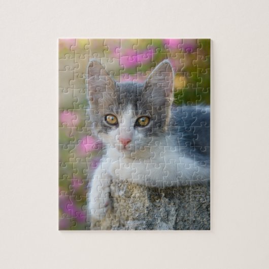 かわいい二色猫ネコ花写真 – ゲーム ジグソーパズル (縦)